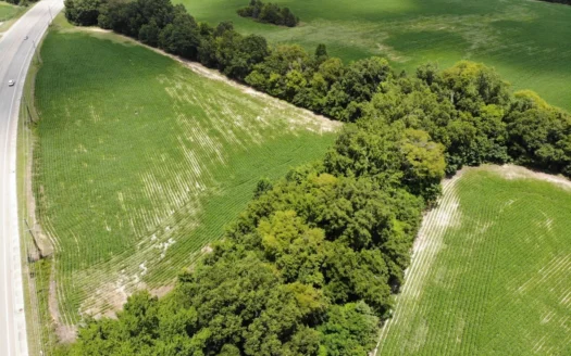 New Business Opportunity – Grady Aggregates Lime Mine