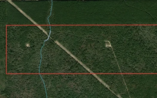 250 ACRES of Timberland in Saratoga, TX