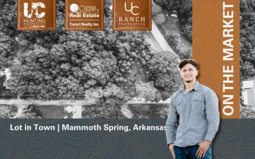 Lot in Town for sale in Fulton County, Arkansas