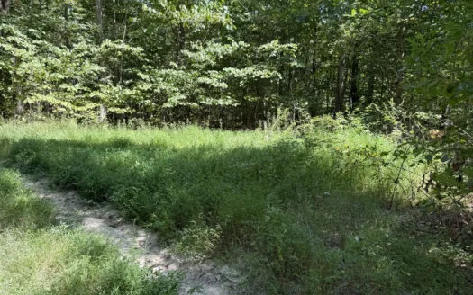 Off Grid 5+/- Acres Woodland – Secluded – Liberty Kentucky