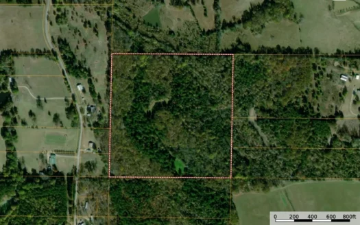 Potential Homesite investment/Recreational Land Baldwyn, MS