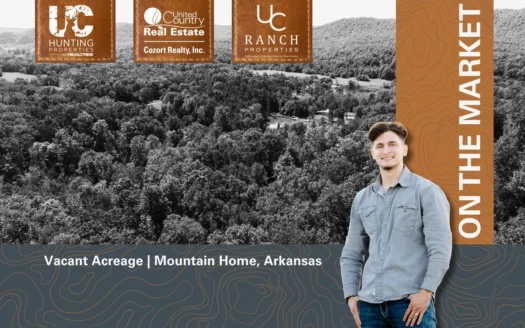 Vacant Land for sale near the White River | Arkansas Ozarks