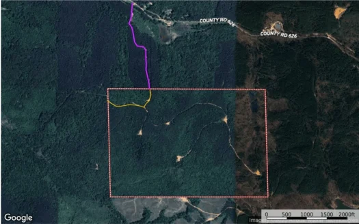 Recreational Timbered Tract Booneville MS