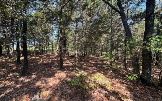 10.14+/- Acres of Land For Sale west of Searcy, AR