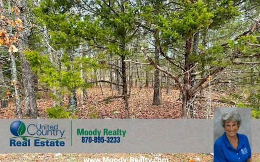 Nice Corner Lot in Horseshoe Bend, AR