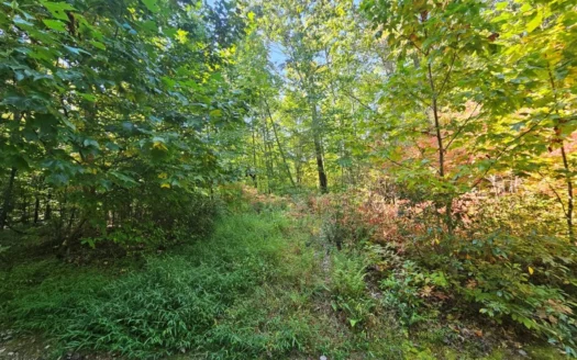Land for Sale in Tazewell VA