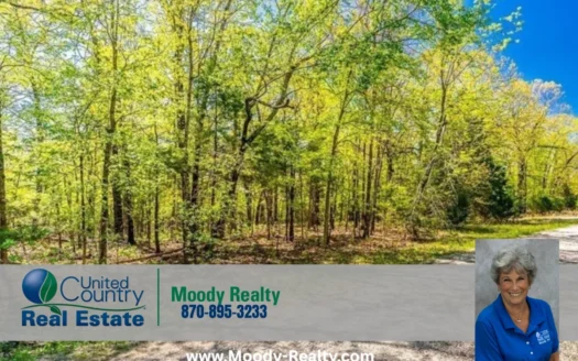 Residential Lot In A Great Location In Horseshoe Bend Arkansas