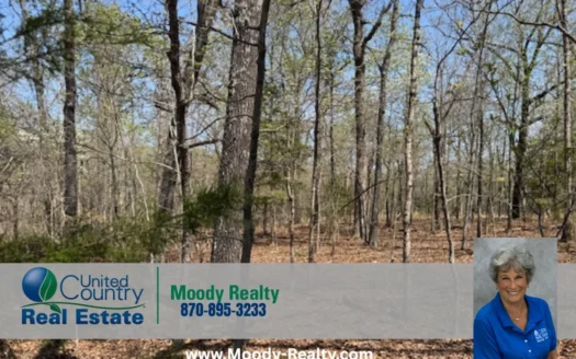 Residential Lot In A Great Location In Arkansas