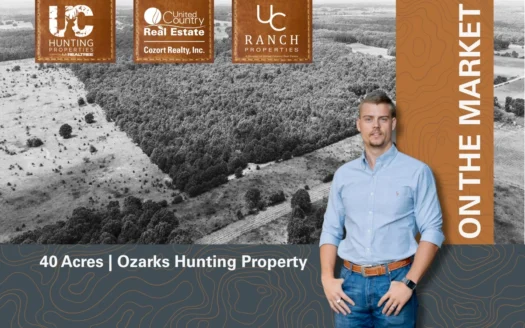 Hunting Land in the Missouri Ozarks