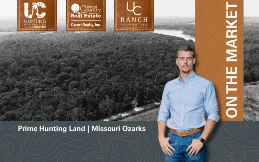 Prime Hunting Land Located in the Missouri Ozarks