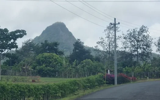 Mountain Lots for Sale in Toabré, Penonomé – 1.2 Hectares