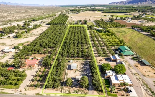 Las Cruces NM Pecan Orchard for Sale