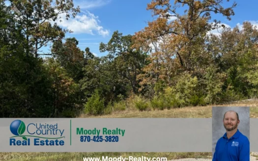 Acreage For Sale in Baxter County Arkansas