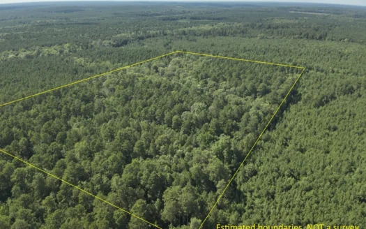 Pine/Hardwood Hunting Land W/ Creek Nevada County, AR for Sale!!