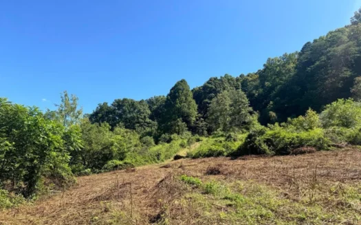 100 Acres By Deed In Hancock County, Tennessee