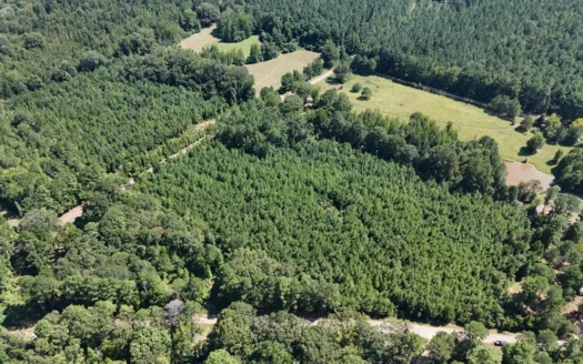 16 Acres Timberland for Sale in Union Parish – McBroom Tract