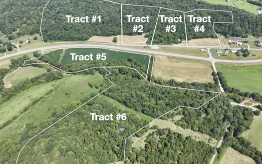 Offered Absolute Land & Timber Online Auction in Burkesville, Ky