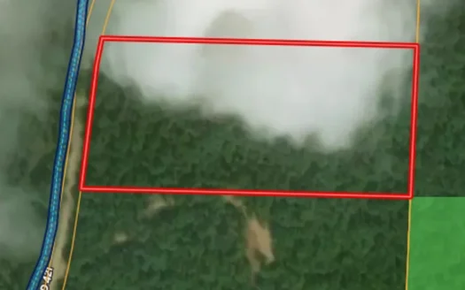 Secluded Ozarks Acreage with Mark Twain Forest Frontage