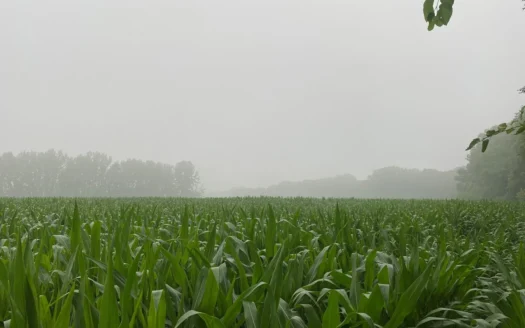 50 Acres of Prime Tillable and Woodland in Franklin, IN