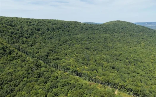 Madison County Hunting Property Land w/Electric For Sale