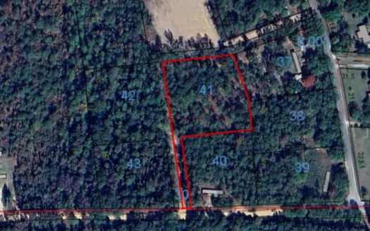 Lot #7 — No Restriction Lots – Beauregard, AL