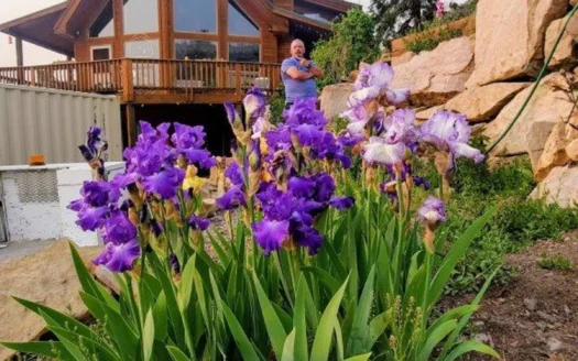 3 Bedroom Mountain Home on 42± Acres for Sale in Ridgway, CO