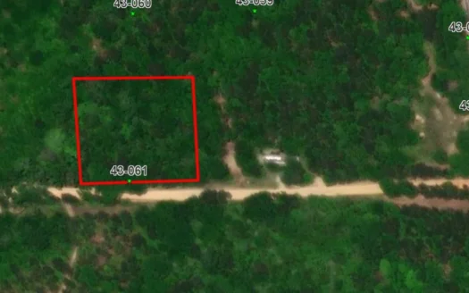 Lot #9 — No Restriction Lots – Beauregard, AL