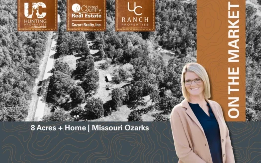 Quiet Country Canvas in the Missouri Ozarks