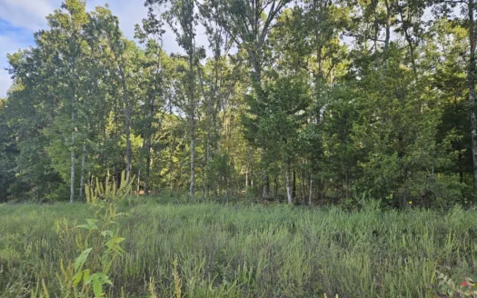 4.73 Acres of Unrestricted Land in Scenic Ozark County