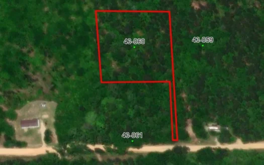 Lot #8 – Watoola Crossing – No Restriction Lots – Beauregard, AL