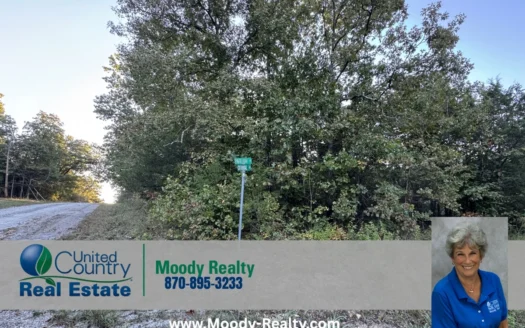 Corner Lot In A Great Location In Arkansas