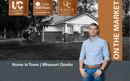Home in Town for sale in Licking Missouri