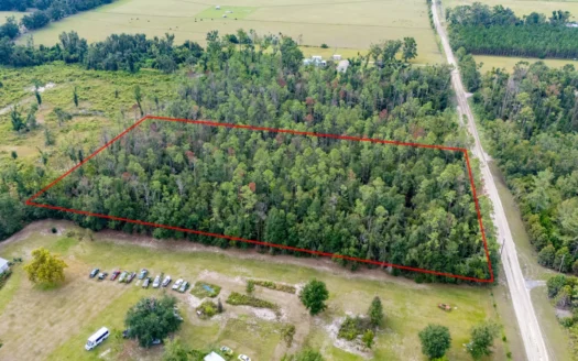 5 Acres for Sale in Live Oak, Florida