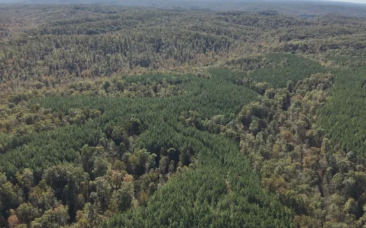 79.49 Acres Hunting and Timberland For Sale in Linden, TN