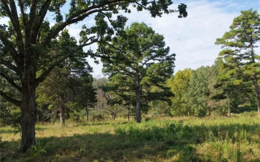 28 Acres Harrison Land For Sale Paved Road Frontage