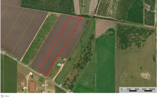 10 Acres on FM 624 Near Orange Grove – Prime Homesite Opportunity