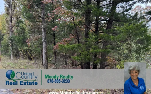 Ozarks Residential Lot In A Great Location