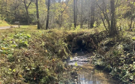 72.28 Acres for Sale in Unicoi County, Tennessee