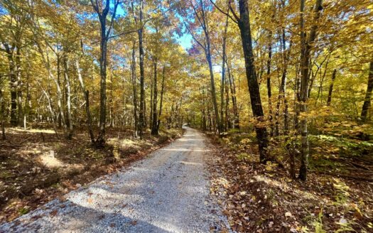 Newton County 20 Acres For Sale Borders Ozark National Forest