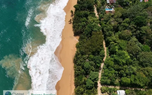 Front Row Beach Lot for Sale, Bluff Beach, Bocas del Toro