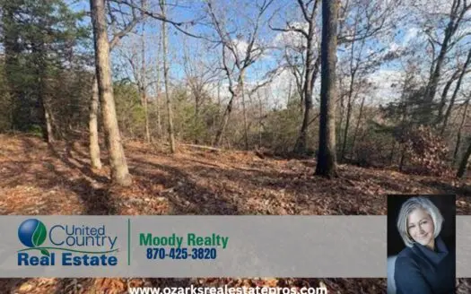 Land For Sale In Gamaliel Arkansas