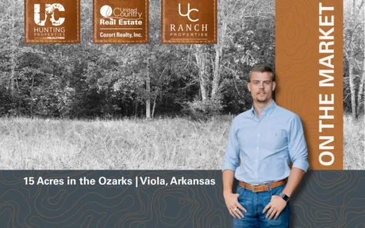 Acreage with Utilities for sale in the Arkansas Ozarks