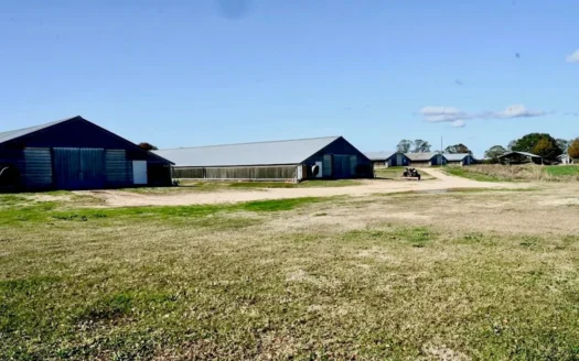 MS Poultry Farm with 38 Acres and Residence