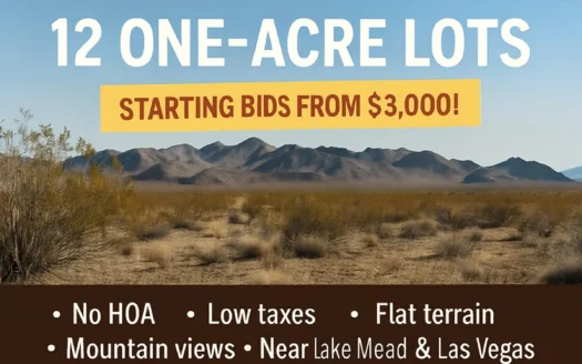 Online Auction: 12 One-Acre Lots in Dolan Springs – Ends Dec 4