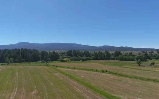 152+/- Acre Irrigated Hay Farm/Ranch For Sale Near Chama NM