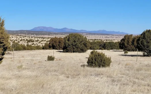Escape to Peaceful Living in Moriarty, NM: 5.2 Acres