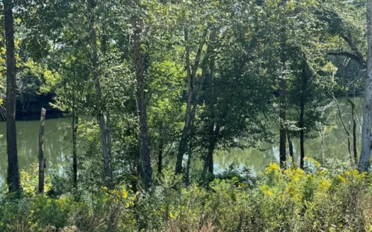 Riverfront Lot in Burkesville, Kentucky