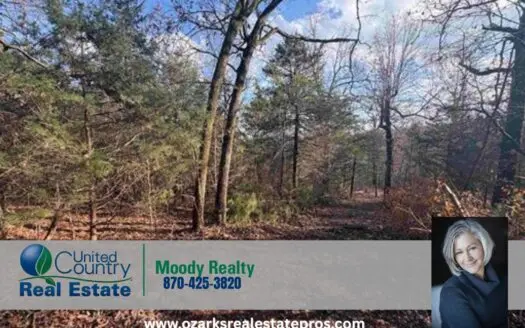Land For Sale In Gamaliel Arkansas