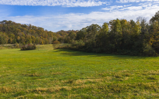 Small home on 111 acres for sale in Blackwater, Virginia