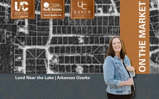 Land For Sale near Lake in Arkansasv